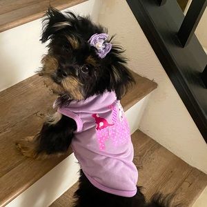 Meet your Posher, Victoria